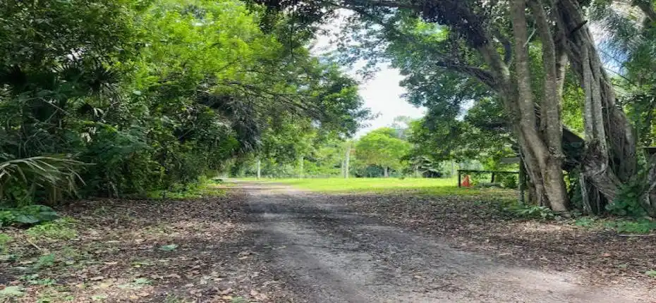 3 acre banyan hammock middle view