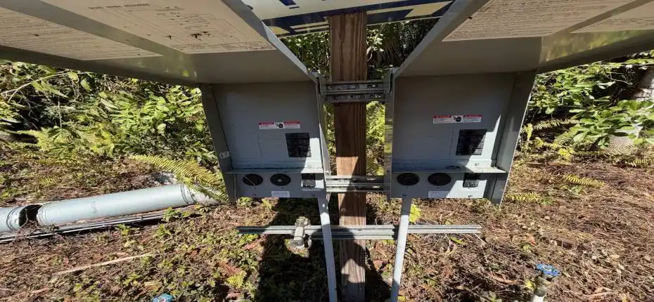 WhatsApp Image 2026-02-10 at 4.34.08 PM