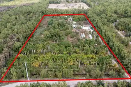 20199 Cole Lane, The Acreage, Florida 33470, ,Land/docks,For Sale,Cole,RX-11156548