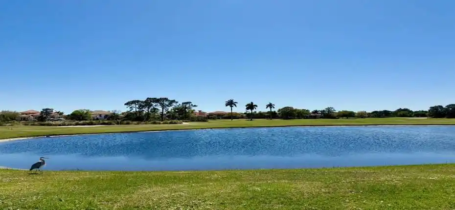 122 Mira Lavella with Heron