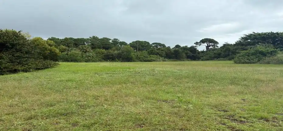 20251009_162044960_iOS