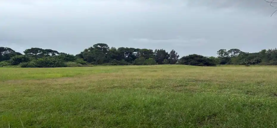 20251009_161913954_iOS