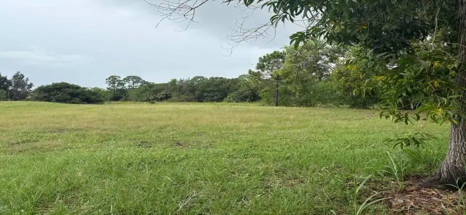 20251009_161915962_iOS