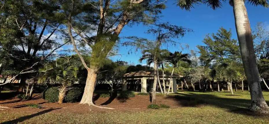 processed-93AE5A5A-F1FB-499E-BF02-DA0EC2