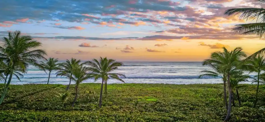 Aerial Intracoastal View