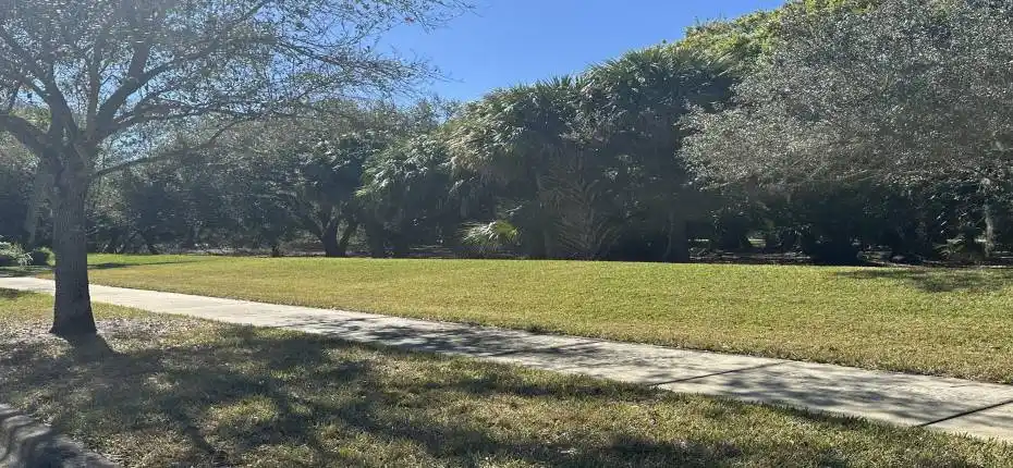 Greenspace across the street