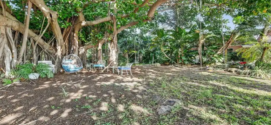 6-web-or-mls-DSC_3360