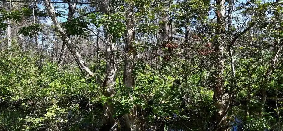 PropertyAsessors Image