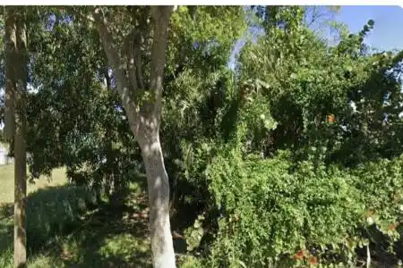 619 14th Street, West Palm Beach, Florida 33401, ,Land/docks,For Sale,14th,RX-11160263