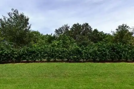 4341 Winding Place, Fort Pierce, Florida 34981, ,Land/docks,For Sale,Winding,RX-11160375