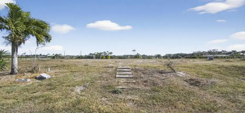 7-web-or-mls-BS1A3925