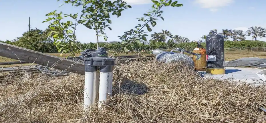 8-web-or-mls-BS1A3930