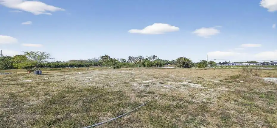 9-web-or-mls-BS1A3936