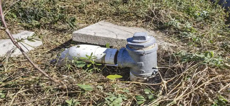 11-web-or-mls-BS1A3946