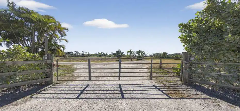 3-web-or-mls-BS1A3908