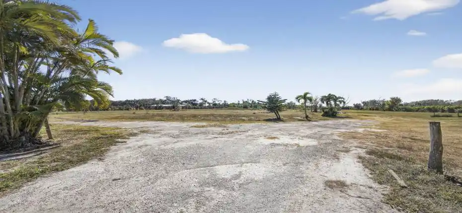 4-web-or-mls-BS1A3910