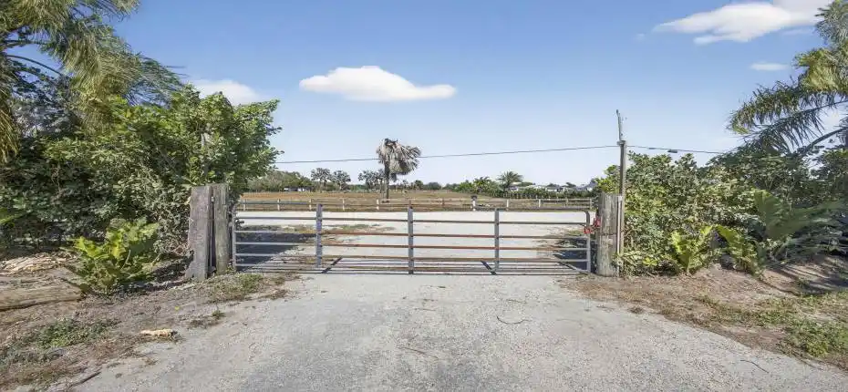 5-web-or-mls-BS1A3915