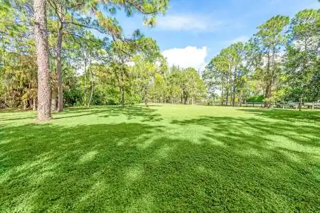 Lot 19 Duckweed Road, Wellington, Florida 33449, ,Land/docks,For Sale,Duckweed,RX-11161691