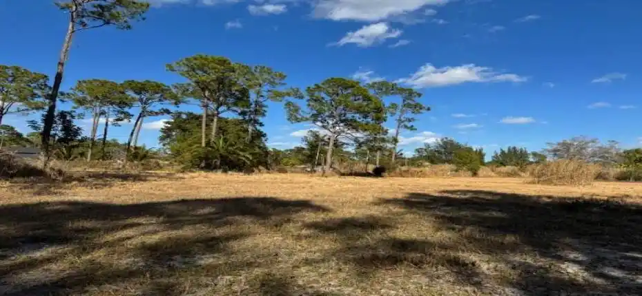 14_3852_161st_Terrac_N14_mls