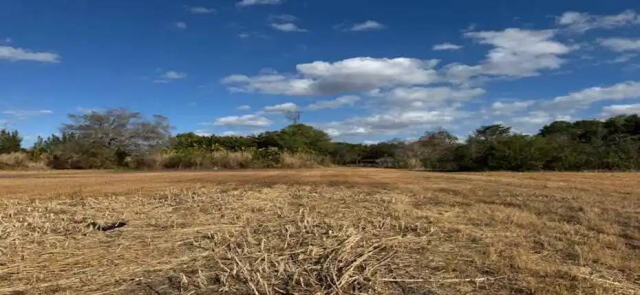 13_3852_161st_Terrac_N13_mls