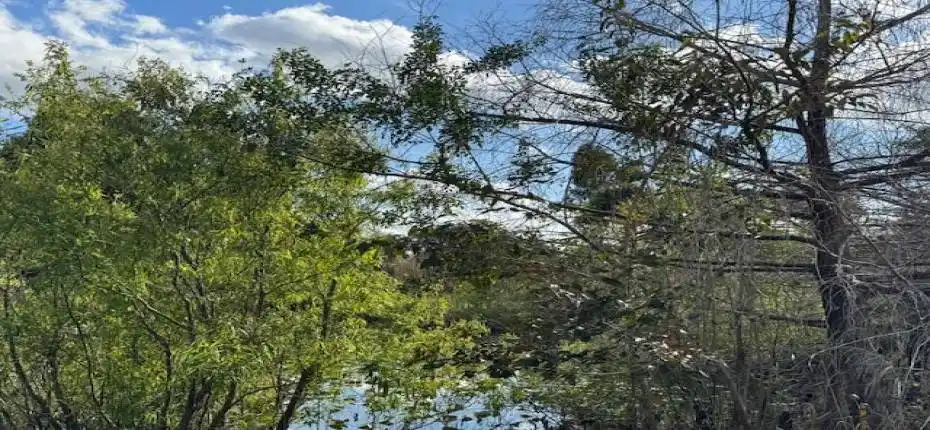 15_3852_161st_Terrac_N15_mls