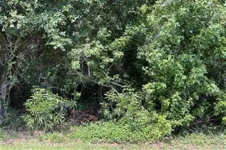 Port Saint Lucie, Florida 34952, ,Land/docks,For Sale,RX-11162082