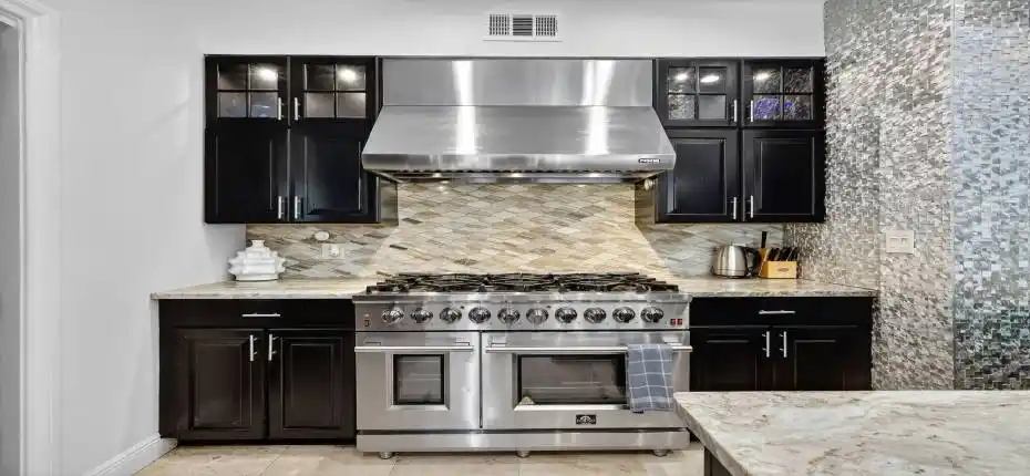 Professional gas range