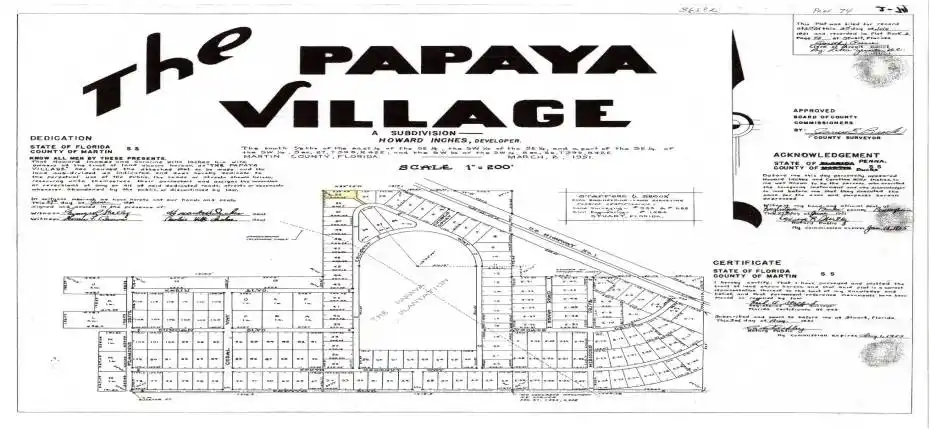 Papaya Village Drawing