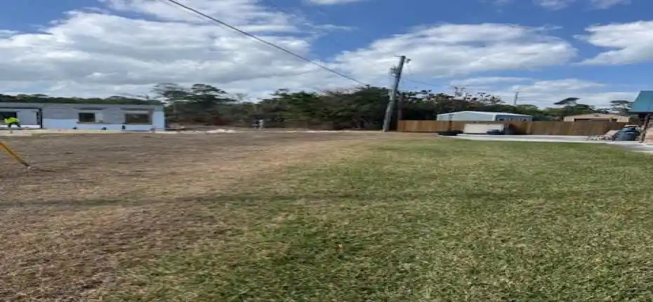 b689cc19-1b83-42a6-850c-52e4449a1d70