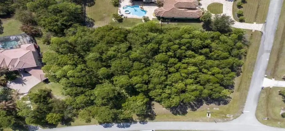 DJI_20260220115407_0317_D-HDR