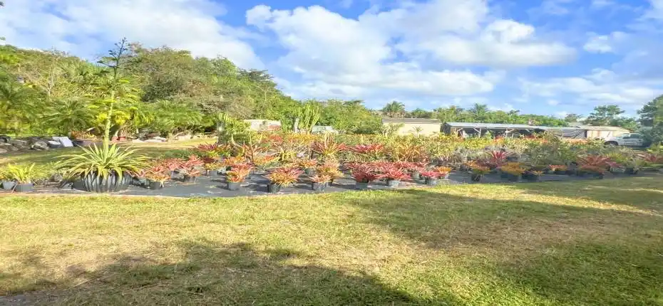 7300 NW 44th Terr (4)