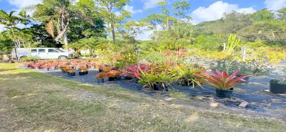 7300 NW 44th Terr (9)