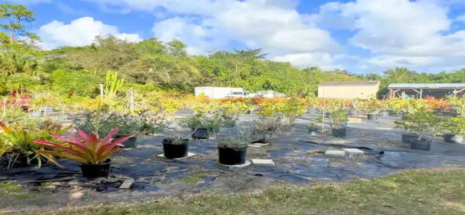 7300 NW 44th Terr (10)