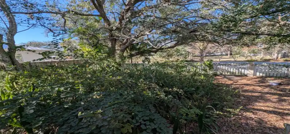 PXL_20260224_201824122