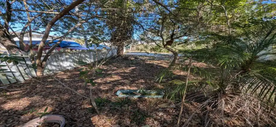 PXL_20260224_201907618