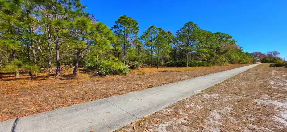 View of Southside of Property