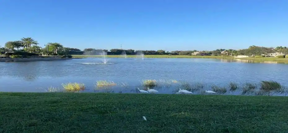 20231103145529450723000000-o