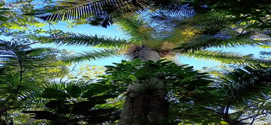 6844193142588094618 (1)