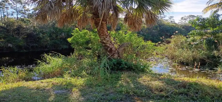 5349614925225725948 (1)