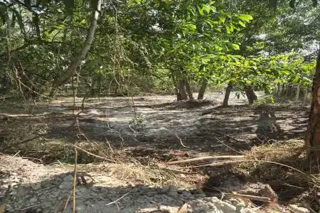 17534 42nd Road, The Acreage, Florida 33470, ,Land/docks,For Sale,42nd,RX-11157130